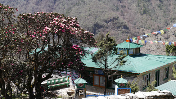 Namche-Bazaar