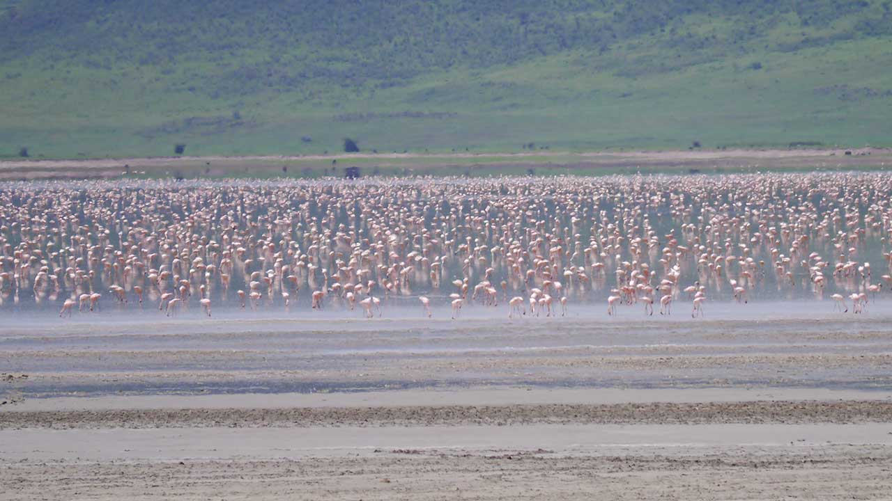 Ngorongoro Krater