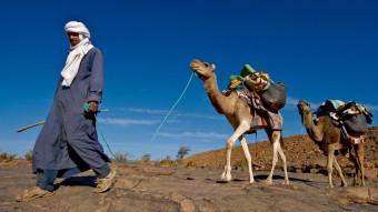 Wanderung durch die Wüste<br />im November 2014