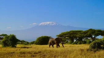 Individuelle Safaris in Kenia Individuelle Safaris in Kenia