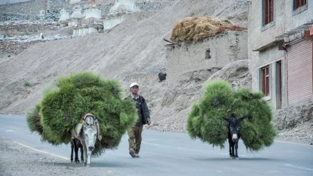 trekking-rafting-ladakh-familie