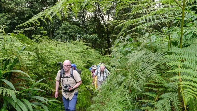 uganda-ruwenzori-trek