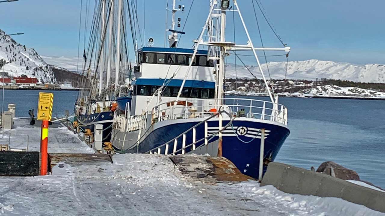 Ende der Skitour im Hafen von Alta